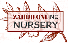 Zahuu Online Nursery-Online Nursery for Plants, Tools, and Garden Accessories